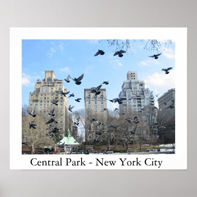 Central Park - New York City Poster (Front)