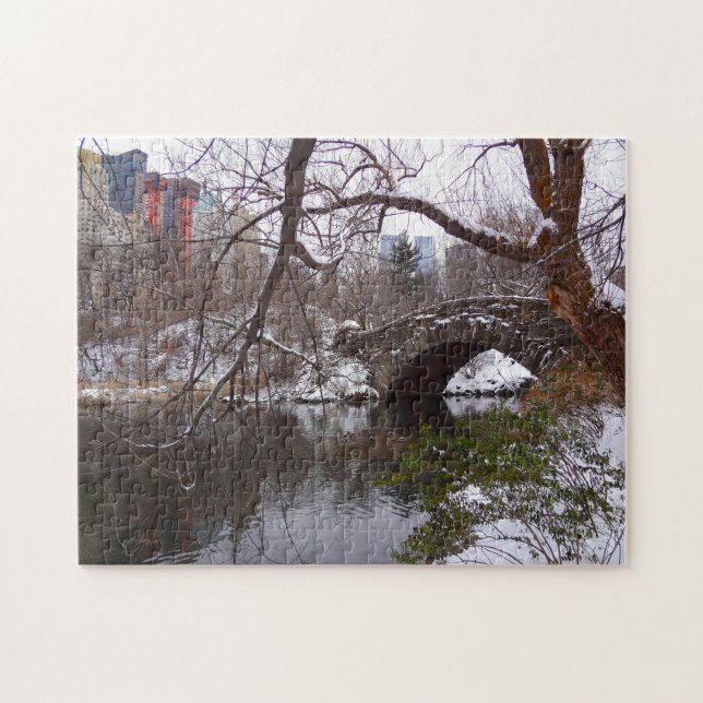 Central Park New York. Jigsaw Puzzle (Horizontal)