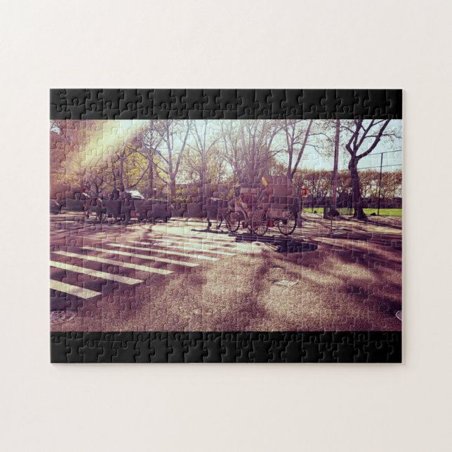 CENTRAL PARK NEW YORK   JIGSAW PUZZLE (Horizontal)
