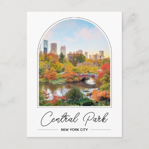 Central Park New York Photo Postcard