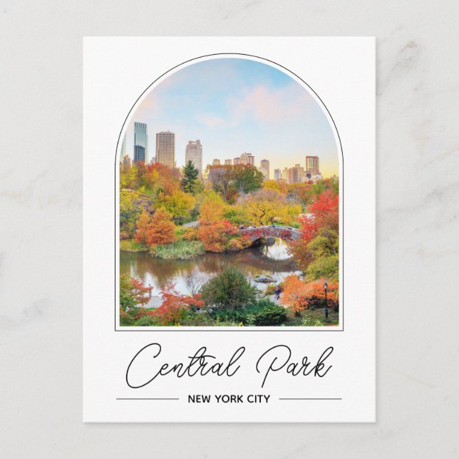 Central Park New York Photo Postcard (Front)