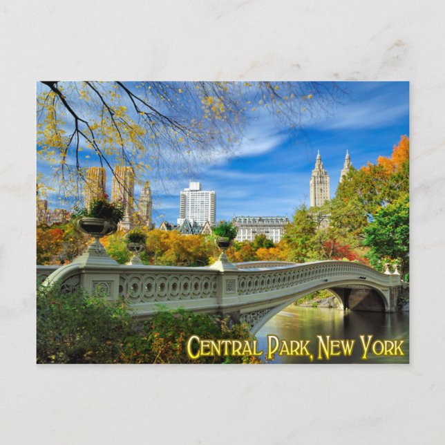 Central Park New York Postcard (Front)