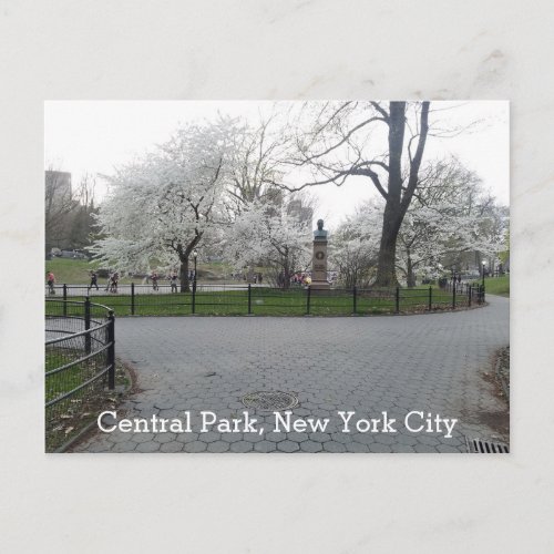 Central Park New York Springtime Path with Trees Postcard