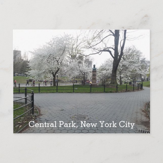 Central Park New York Springtime Path with Trees Postcard (Front)