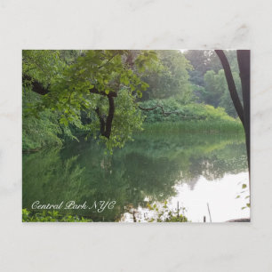 Central Park New York Turtle Pond in Summer Postcard