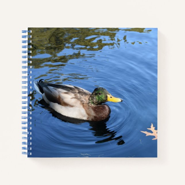 Central Park NYC Conservatory Water Mallard Duck Notebook (Front)