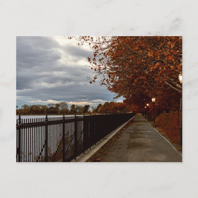 Central Park NYC in Autumn Postcard (Front)