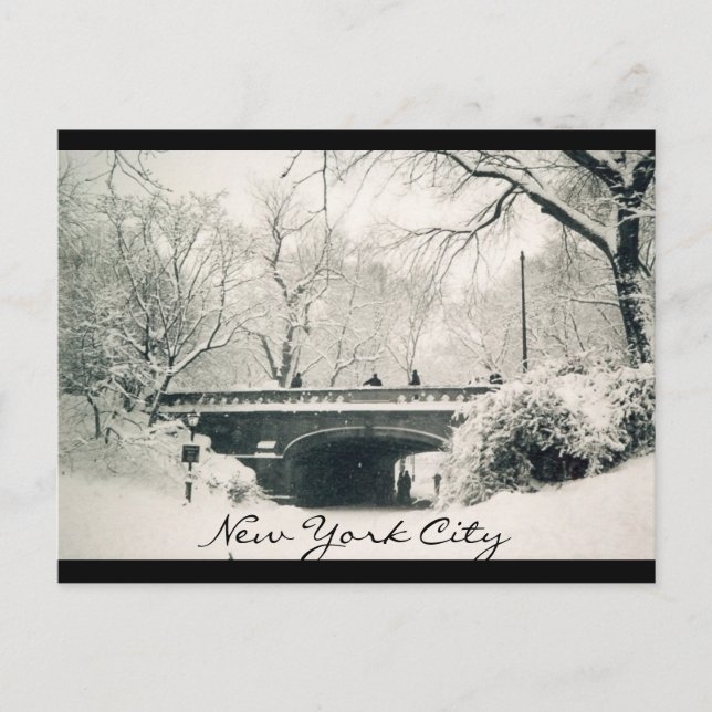 central park nyc postcard (Front)