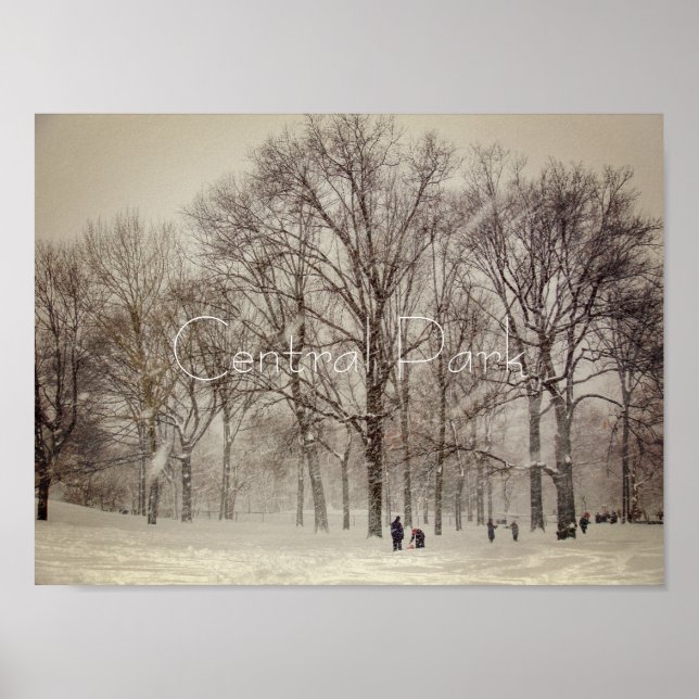 Central Park, NYC Poster (Front)