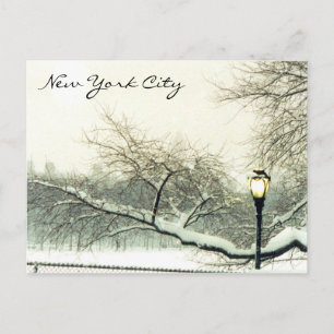 central park nyc tree postcard