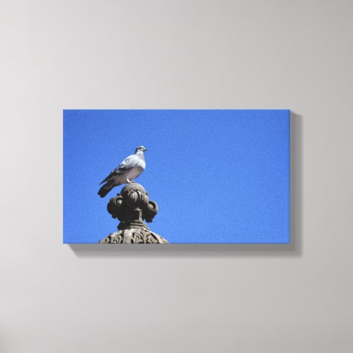 Central Park Pigeon Blue Sky New York City Bird Canvas Print