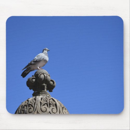 Central Park Pigeon Blue Sky New York City Bird Mouse Pad