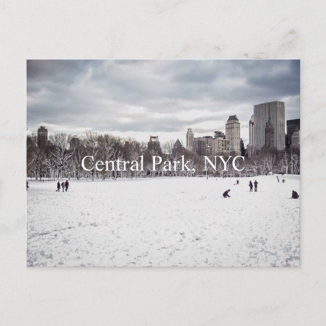 Central Park Postcard (Front)