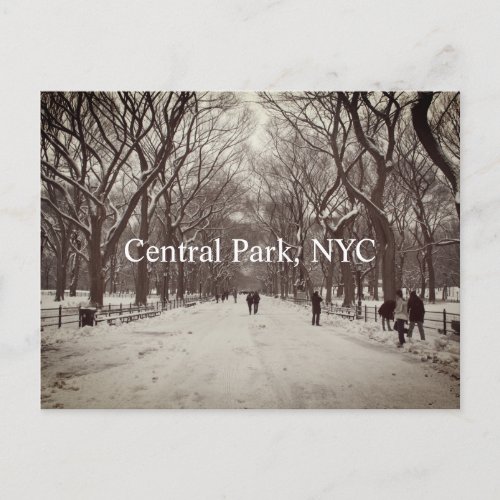 Central Park Postcard