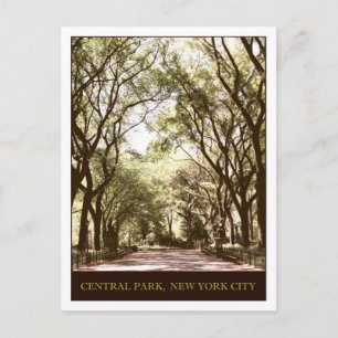 Central Park Postcard