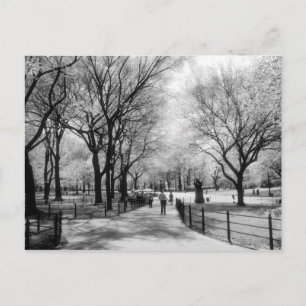 Central Park postcards