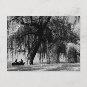 Central Park Rowboats Postcard