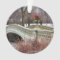 Central Park’s Bow Bridge Photo