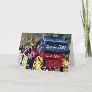 Central Park Save the Date Card card