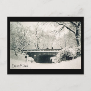 central park snow postcard