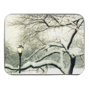 central park snow tree jigsaw puzzle