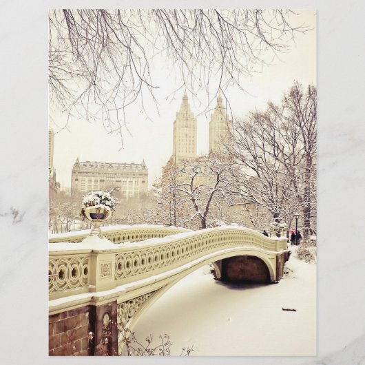 Central Park Snow - Winter New York (Front)