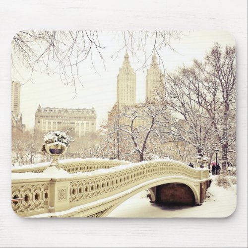 Central Park Snow _ Winter New York Mouse Pad