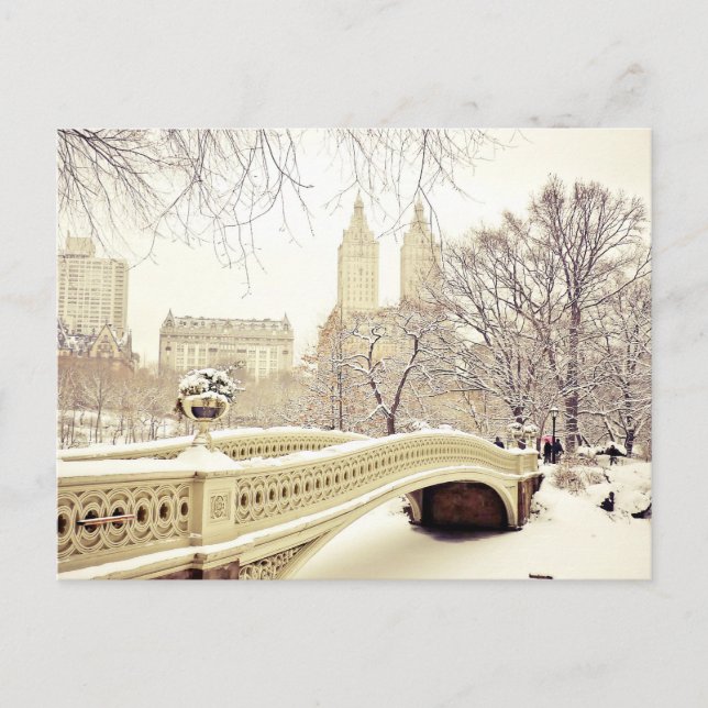 Central Park Snow - Winter New York Postcard (Front)