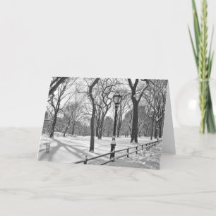 Central Park Snowfall B&W Holiday Card