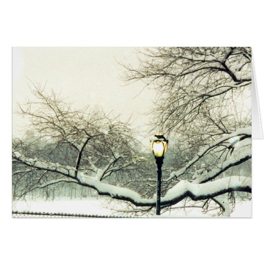 central park snowy tree (Front Horizontal)