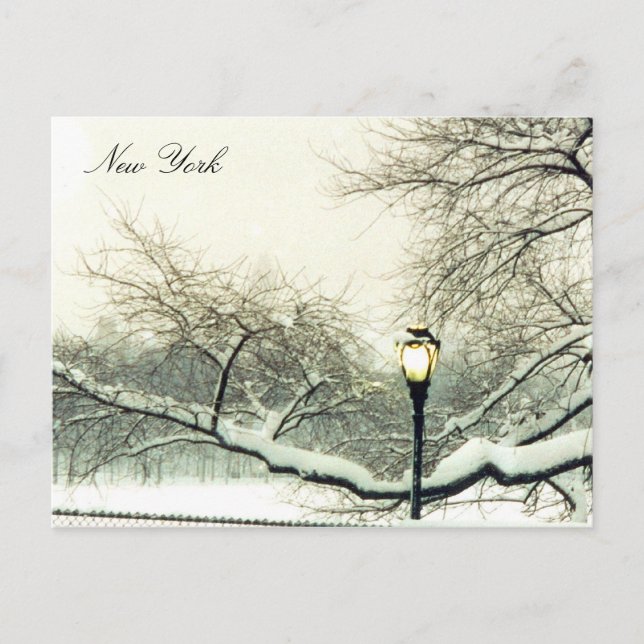 central park snowy tree postcard (Front)