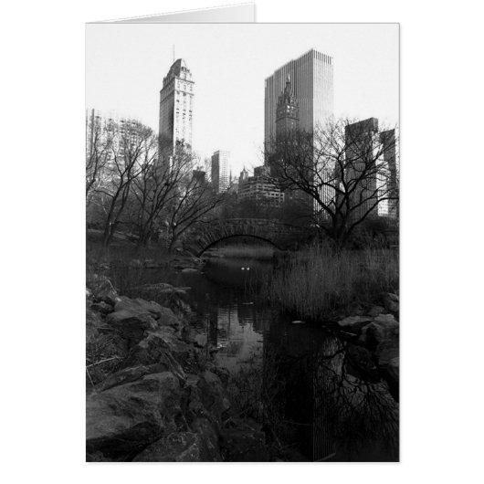 Central Park South Skyline NYC Cards (Front)