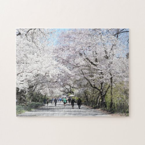 Central Park Spring Cherry Blossoms New York NYC Jigsaw Puzzle