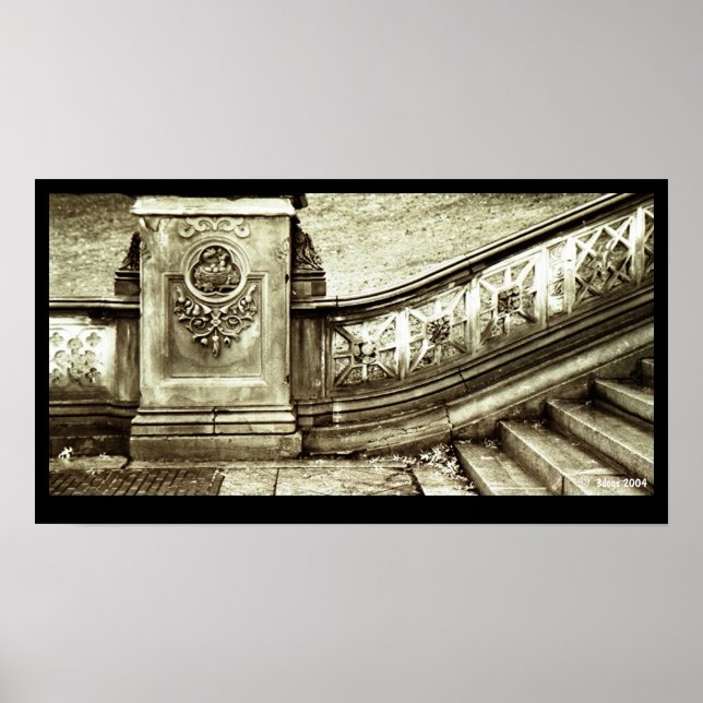 Central Park Stairs Poster (Front)
