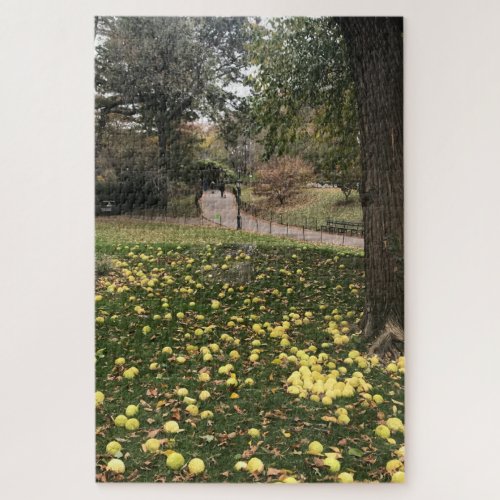 Central Park Tree Manhattan New York City NYC Jigsaw Puzzle