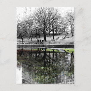 Central Park Tree Postcard