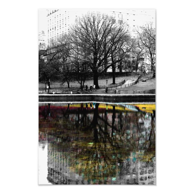 Central Park Tree Reflection Photo Print (Front)