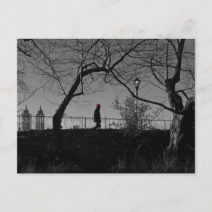 Central Park Walker Postcard