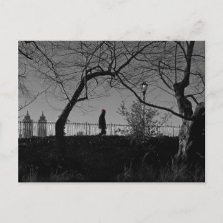 Central Park Walker Postcard
