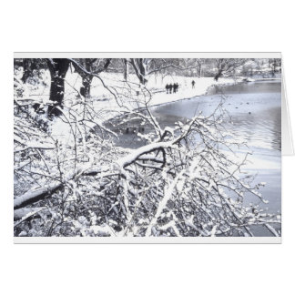 Central Park Winter Lake Cards