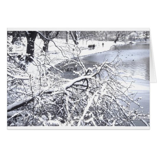 Central Park Winter Lake Cards (Front Horizontal)