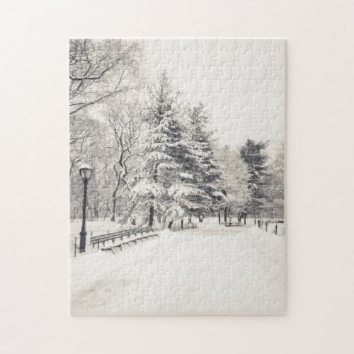 Central Park Winter Path _ New York City Jigsaw Puzzle
