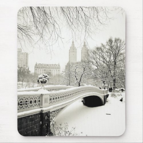 Central Park Winter _ Snow on Bow Bridge Mouse Pad