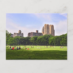 Central Park's Sheep Meadow Postcard