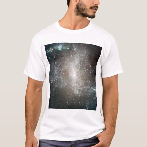 Central region of the barred spiral galaxy T_Shirt