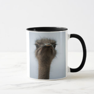 Central South Africa, African Ostrich, Close-up Mug