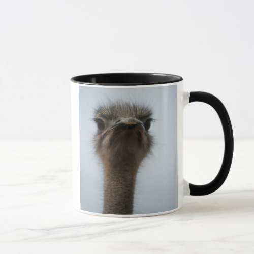 Central South Africa African Ostrich Close_up Mug