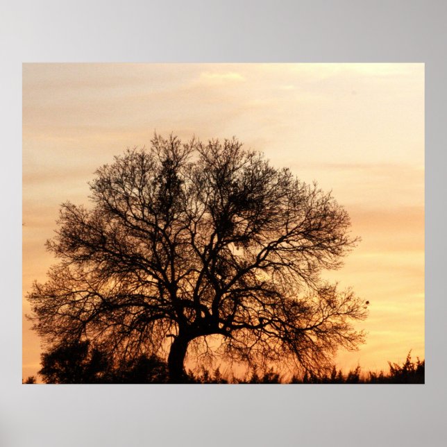 Central Texas Sunset Poster (Front)