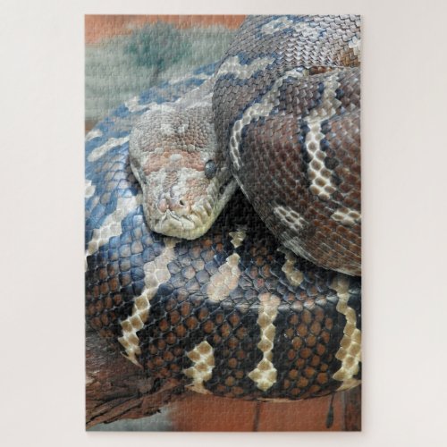 Centralian carpet python jigsaw puzzle