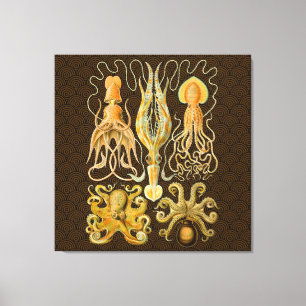 Cephalopod Octopus Squid Marine Nature Canvas Print